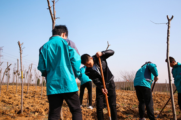 “攜手植樹，共創(chuàng)藍天”丨南京新華師生共筑新華育才林
