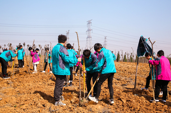 “攜手植樹，共創(chuàng)藍天”丨南京新華師生共筑新華育才林