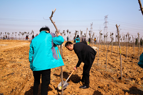 “攜手植樹，共創(chuàng)藍天”丨南京新華師生共筑新華育才林