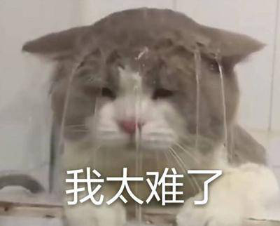 勁爆！新華電腦教育服務(wù)旗艦店正式入駐天貓，課程1折秒殺！