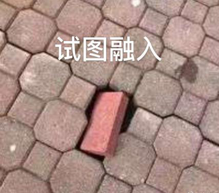 新華互聯(lián)網(wǎng)科技正式入駐Bilibili！會(huì)摩擦出什么樣火花呢？